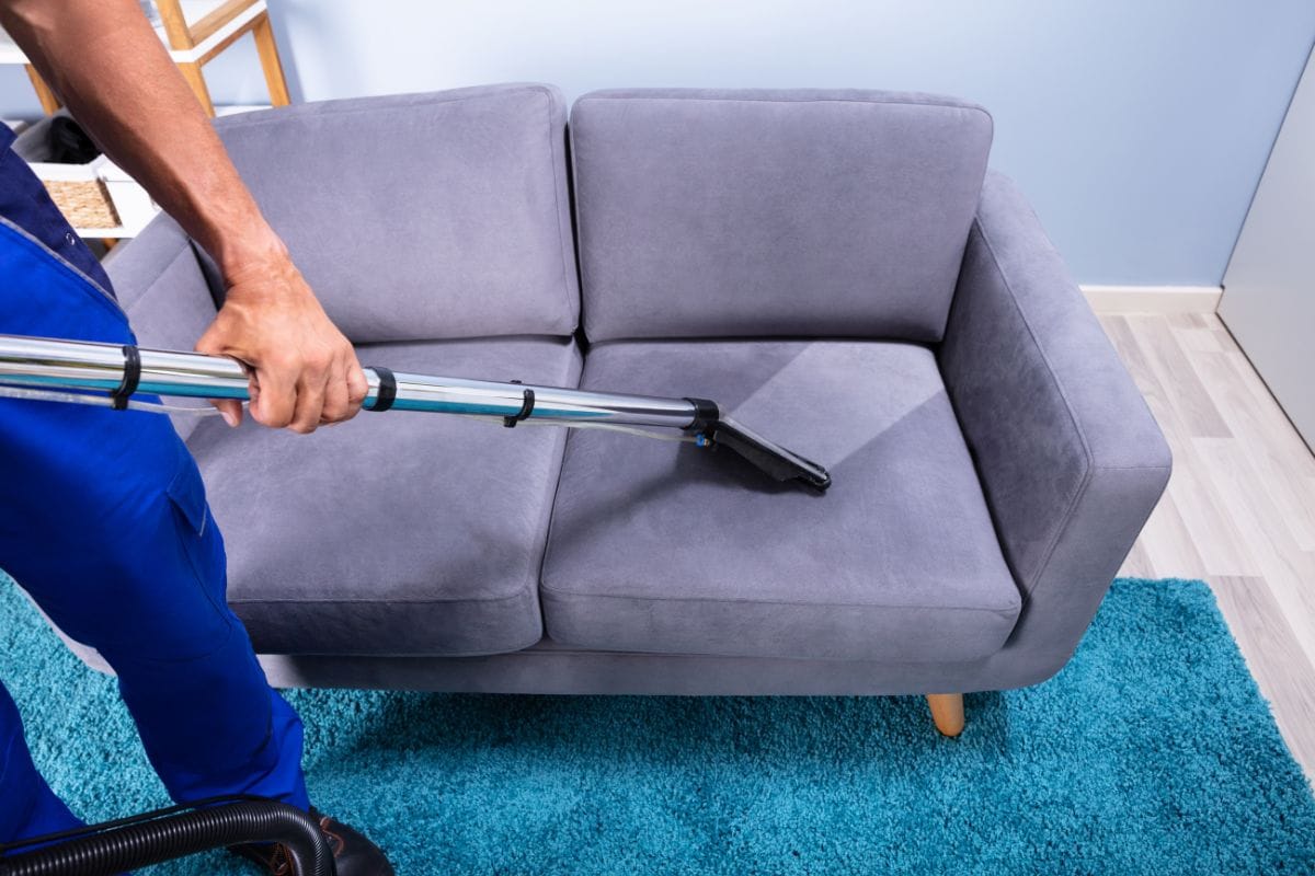 Sofa Cleaning Hometriangle Blog